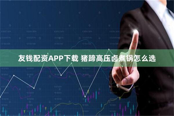 友钱配资APP下载 猪蹄高压卤煮锅怎么选