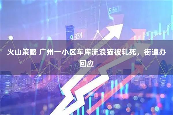 火山策略 广州一小区车库流浪猫被轧死，街道办回应